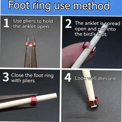 Instructions for Flat Aluminum Pigeon Ring Set No Fuss For Bird Leg Bands With Random Mixed Colors And Clear Laser Etched ID Numbers.