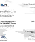 European Union Certificate of Registration for Cloudisk, displaying official seal and signatures, confirming trademark status.
