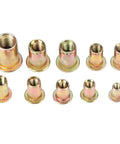 300 Pcs Carbon Steel Rivet Nut Kit With Color Zinc Plated Finish in various metric and inch sizes for automotive and industrial use