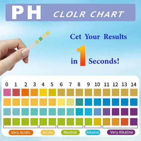 Hand holding 200 Count pH Test Strips 0 To 14 Universal Litmus Paper For DIY Home Testing with color chart in background