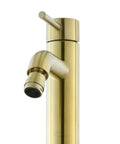 Ivy Bidet Faucet Brushed Gold Solid Brass Build Easy One Hole Install 1.2 GPM Flow Single Handle Hot Cold Control