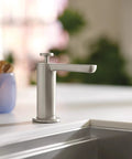 Spot Resist Stainless Modern Deck Mounted Kitchen Soap Dispenser With Above The Sink Refillable Bottle on counter