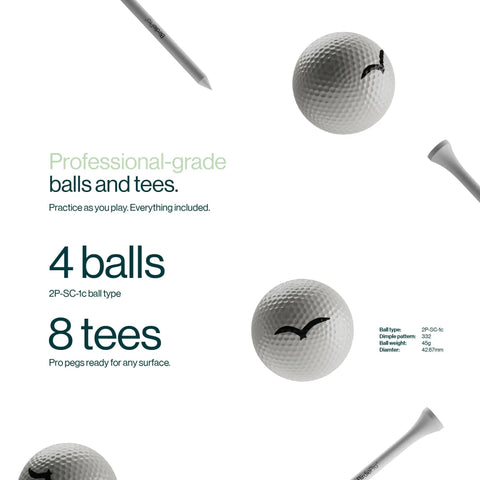 Professional-grade balls and tees included in Pro Golf Practice Net 10 By 7 Feet Heavy Duty Hitting Net, 4 balls and 8 tees detail.