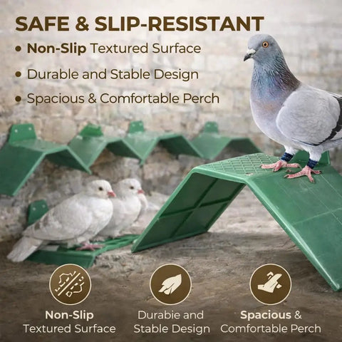 Birds on 10-Piece Plastic Dove Rest Stands with Anti-Skid and Heat-Resistant Design, green pigeon perch in a loft.