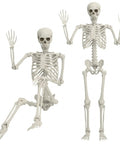 Pair of Life Size Skeleton Five Point Four Foot Poseable Full Body Halloween Prop With Movable Joints for decor
