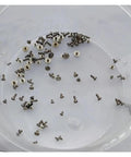 Close-up of the 100 Piece Watch Movement Screw Set With Assorted Original Size Screws For Repairs And DIY on a clear dish