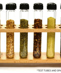 Beechwood Test Tube Rack, 9 Inch, holds 12 tubes with 20mm holes, rugged wooden lab gear for science class, test tubes not included