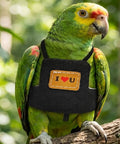 Parrot wearing Adjustable Bird Flight Suit Harness Escape Proof Design With Anti Bite Straps in a natural setting.