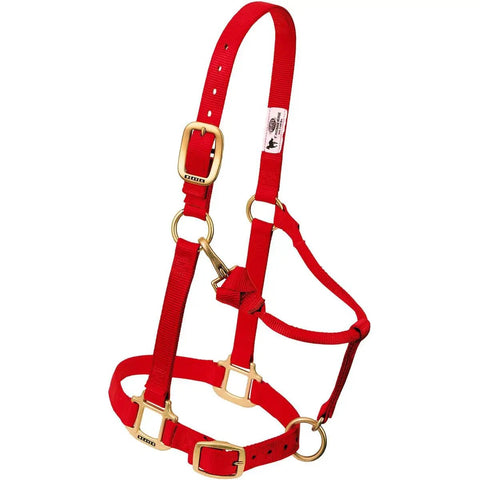 Adjustable Nylon Horse Halter For Weanlings And Ponies Durable Nylon With Triple Ply Cheek Box Stitch Reinforcement Built To Last