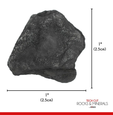 Six Pack Raw Anthracite Coal Metamorphic Rock Specimens Approx One Inch Geologist Selected Hand Processed
