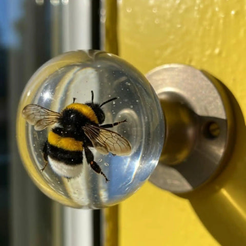 Kickstart Your Home Refresh With Vintage Floral Resin Cabinet Handles Featuring Smooth Gliding Drawer Pulls And Rock Solid Metal Hardware For Adding Old School Charm To Any Dresser Upgrade, close-up of bee in resin knob.