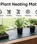 Heat Mats For Plants With Thermostat Controller Two Pack 10 By 20 Inches Graphene Heating Technology in indoor garden