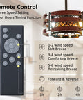 Remote control and 20 Inch Caged Ceiling Fan With Light And Remote, Black Rustic Flush Mount Industrial Enclosed Ceiling Fan With Six Speeds