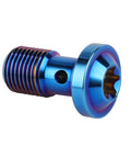 Titanium Banjo Bolts M10x20mm 1.0 Pitch Torx Head Burnt Blue Finish for Brake Fittings Universal Brake System Adapter