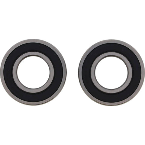 Wheel Bearing Kit For Harley And Kawasaki With 2 Ball Bearings, Double Lip TC Seals, Stainless Garter Spring Grease, SRI 2 Lubricant