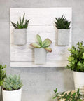 Concrete Grey Self-Adhesive Film Roll For Walls, Cabinets, And Furniture, Large 26x78 Inch, 4-Pack, Easy Peel And Stick Decor For DIY Home Makeovers Today on wall with plants