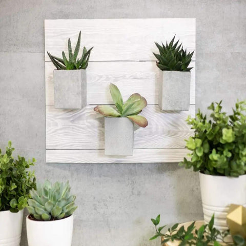 Concrete Grey Self-Adhesive Film Roll For Walls, Cabinets, And Furniture, Large 26x78 Inch, 4-Pack, Easy Peel And Stick Decor For DIY Home Makeovers Today on wall with plants