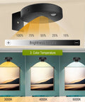 Three Pack LED Picture Lights For Wall With Rechargeable Battery, Remote Control, Wireless Magnetic Art Display Lighting