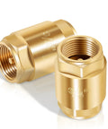Brass inline check valves, 2-pack, 3/4-inch IPS, close-up of threaded fittings for backflow prevention