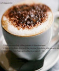 Cup of cappuccino with frothy milk foam and cocoa powder topping in a white ceramic cup, with preparation instructions.