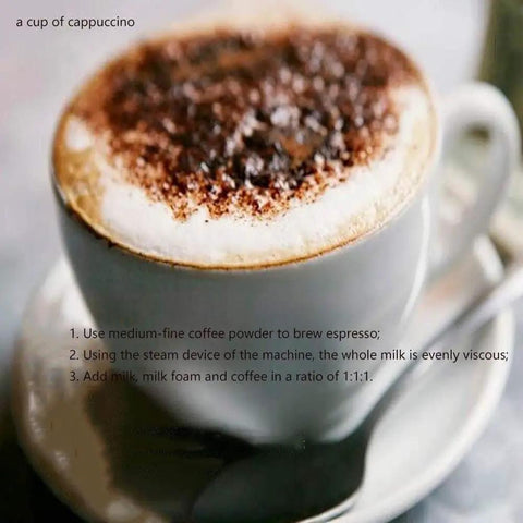 Cup of cappuccino with frothy milk foam and cocoa powder topping in a white ceramic cup, with preparation instructions.