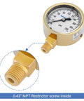 Built Tough Heavy Duty Fully Brass Hydraulic Glycerin Filled Pressure Gauge With Two And A Half Inch Dial Quarter Inch NPT Lower Mount 0 To 200 Psi And KPa For Measuring Non Corrosive Gas And Liquid Pressure In Industrial And Home Setups, showing gauge face and NPT mount detail