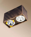 iumLeap Recessed Lighting Housing Trim Kits Wall Mounted Downlights Square Spotlights Led Ceiling Light Ceiling Double Head Light s Retro Vintage Downlight 360°, White Light_7w with dual adjustable lights.