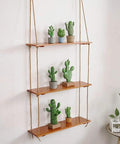 Three-tier wall shelf with potted cacti, supported by 5mm Jute Rope 100 Feet 4-Ply Twisted Beefy Heavy Duty Thick Twine.
