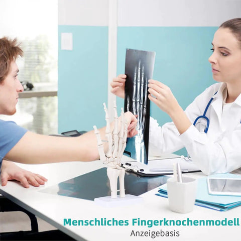 Life Size Skeleton Hand Model With Fully Articulated Fingers For Hands On Medical Training And Anatomy Education on table