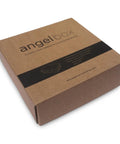 Packaging box for Plug And Play Security Camera Hub For Up To 10 IP Cameras With Encrypted Connections To AngelCam Cloud Storage