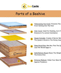 Parts of a beehive diagram showing components from the 10 Frame Beehive Starter Kit With Beeswax Dipped Deep Brood Box And Full Beekeeping Supplies Tool Set Bee Suit For Beginners Includes Smoker Frame Holder Organizer Tote Inner Cover Queen Excluder And Entrance Reducer