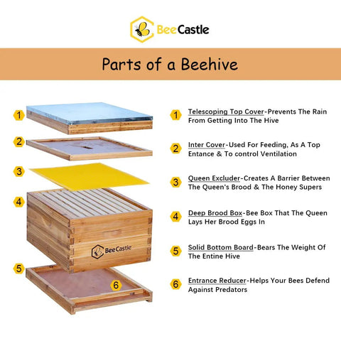 Parts of a beehive diagram showing components from the 10 Frame Beehive Starter Kit With Beeswax Dipped Deep Brood Box And Full Beekeeping Supplies Tool Set Bee Suit For Beginners Includes Smoker Frame Holder Organizer Tote Inner Cover Queen Excluder And Entrance Reducer