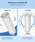 Opal Ice Maker Filter Replacement For GE Profile Opal With No Brainer Easy Install NSF 42 filter showing installation ease and duration