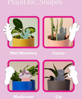 Colorful Paper Based Soil Moisture Meter For Houseplants Five Pack with mini monstera, cactus, mushroom, and cat shapes in pots