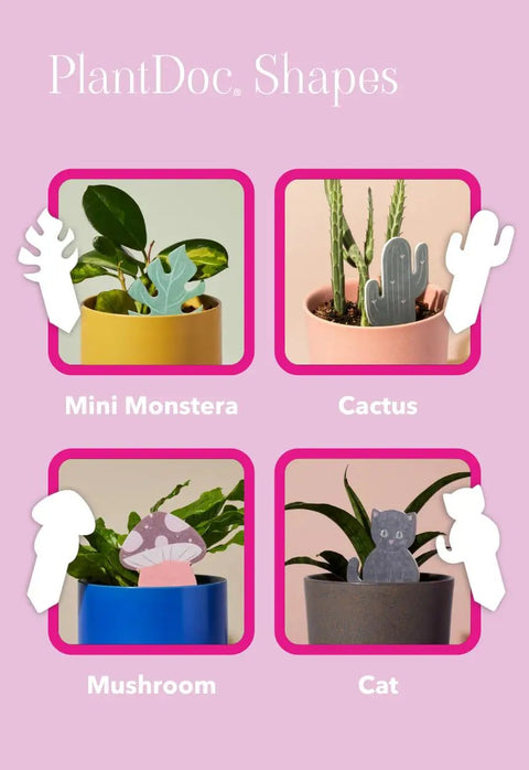Colorful Paper Based Soil Moisture Meter For Houseplants Five Pack with mini monstera, cactus, mushroom, and cat shapes in pots