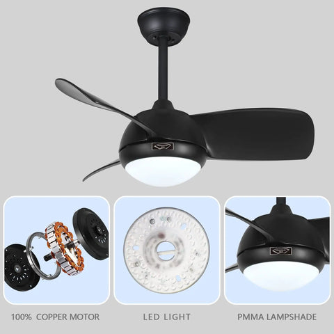 30 Inch Matte Black Ceiling Fan With Lights, Silent Reversible Motor, Remote Control, Dimmable LED Lighting details shown.
