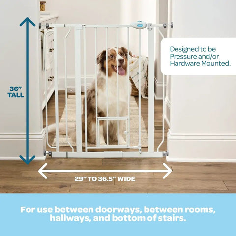 Extra Tall Walk Through Dog Gate For Doorways And Stairs Metal Pet Gate With Small Pet Door Expands From Twenty Nine And A Half To Thirty Six And A Half Inches White Secure Indoor Barrier For Big And Jumpy Dogs shown installed in doorway with dog behind.