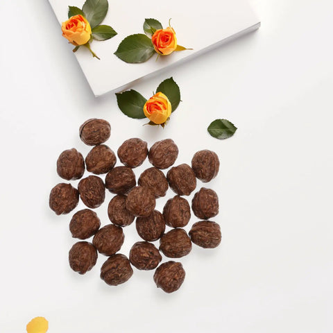 24Pcs Realistic Artificial Walnut Nuts Miniature Faux Fruit Photo Props Perfect for Home Table Display and Food Styling