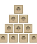 Top Shelf North American Standard Single Wall Power Socket Bulk Pack arranged in a pyramid, featuring heavy duty plastic frames.