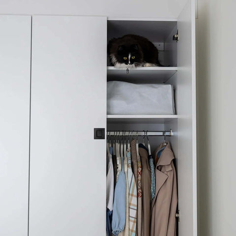 White closet with Two Pack Square Recessed Finger Pulls For Sliding Closet Doors, cat on upper shelf, clothes hanging below.