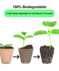 Growth stages in 200 Pack 3.15 Inch Biodegradable Peat Pots For Seedlings With 200 Plant Labels Outdoor Garden Germination Starter Kit