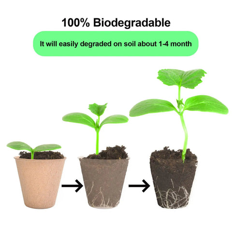 50 Pack Three Point One Five Inch Peat Pots For Seedlings With 50 Plant Labels Biodegradable Nursery Pots For Outdoor Garden Germination And Easy Seed Starter Kit