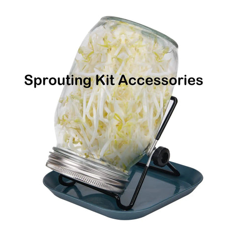 Two Pack Sprouting Stands With Trays 304 Stainless Steel Sprouting Kit For Mason Jars 360 Degree Rotating Stands Perfect For Sprouting Seeds And Beans At Home displaying a mason jar on a stand with tray showing sprouts.