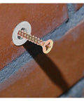 Spiral Wall Anchors Kit 13X32MM Zinc Alloy Self Drilling Anchors mounted in brick wall