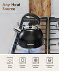 Stovetop Stainless Steel Tea Kettle With Loud Whistle 2 Quart Teapot Ergonomic Handle The Go-To Kitchen Accessory For Hot Water Tea Or Coffee Classic Black Finish on gas stove