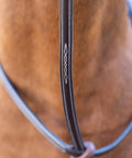 Adjustable Leather Standing Martingale With Stainless Steel Hardware For Pony, Chocolate Brown, close-up detail without stopper