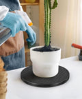 Person watering plant on 12 Inch Rotating Turntable With Steel Ball Bearings For Flat Panel Monitors TVs Potted Plants And Stereo Speakers A Versatile Heavy Duty Black Swivel Stand For Home Office Desk Or Display Setup