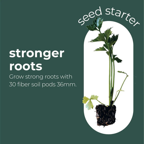 No Mess Indoor Garden Starter Kit With Mini Greenhouse Humidity Dome And 3-Pack Reusable Seedling Trays plant with strong roots