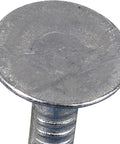 Close-up of Tough As Nails Electro Galvanized Roofing Nail showing flat head and shank, used for wood decking and asphalt shingles.