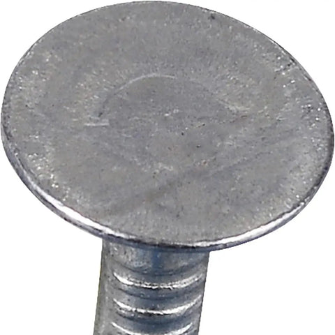 Close-up of Tough As Nails Electro Galvanized Roofing Nail showing flat head and shank, used for wood decking and asphalt shingles.